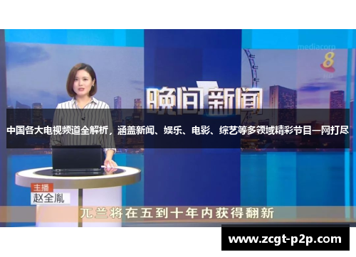 中国各大电视频道全解析，涵盖新闻、娱乐、电影、综艺等多领域精彩节目一网打尽